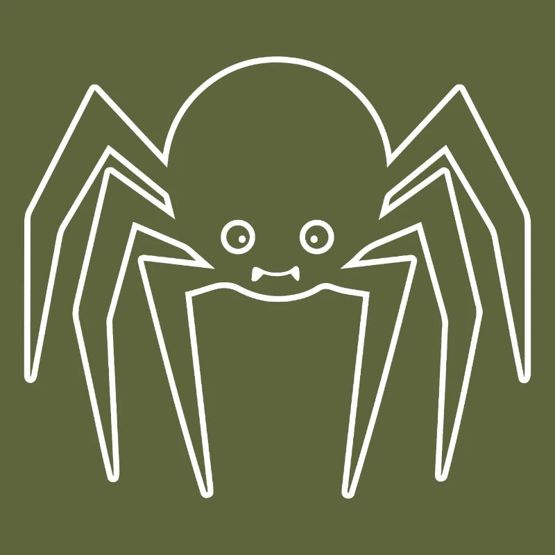Spider spiders animals