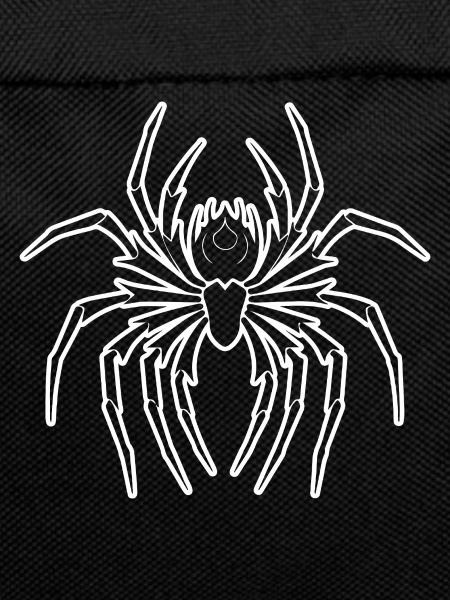 Spider spiders animals