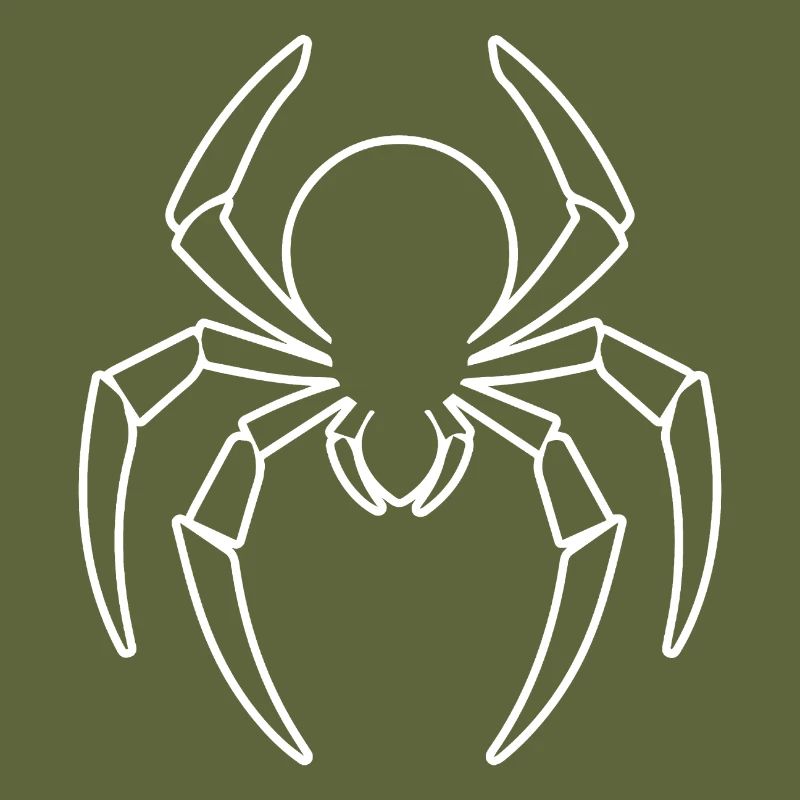 Spider spiders animals