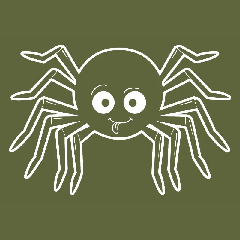 Spider spiders animals