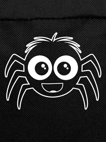 Spider spiders animals