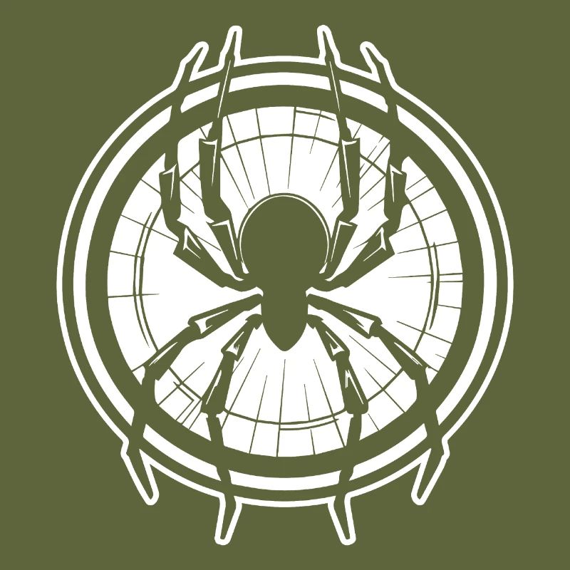 Spider spiders animals