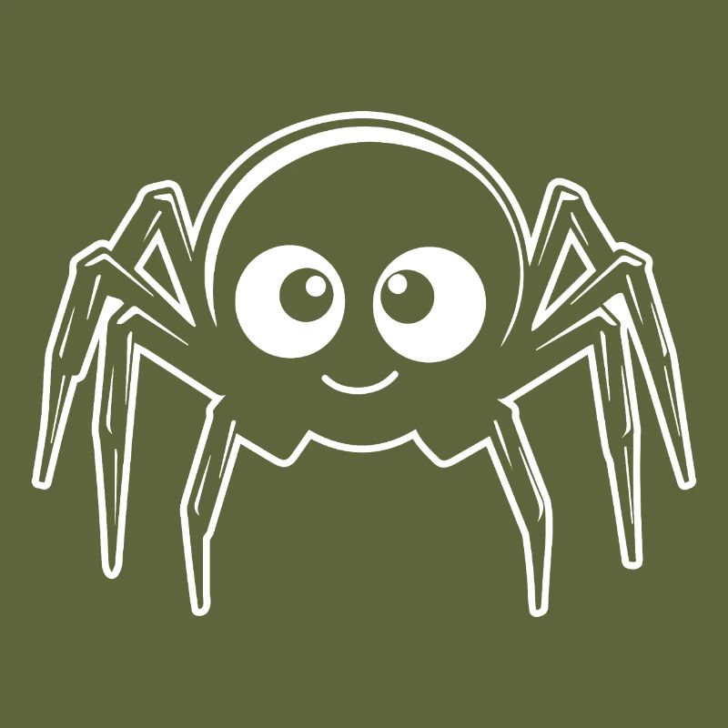 Spider spiders animals