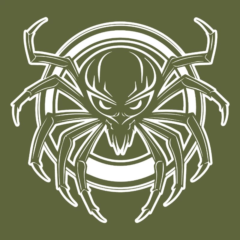 Spider spiders animals