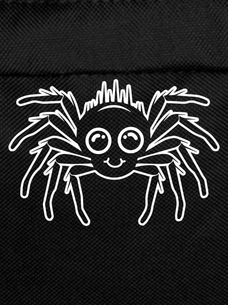 Spider spiders animals