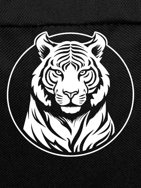 Tiger Big Cat