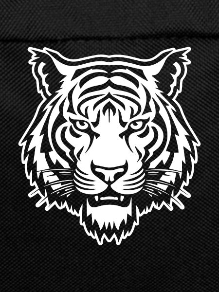 Tiger Big Cat
