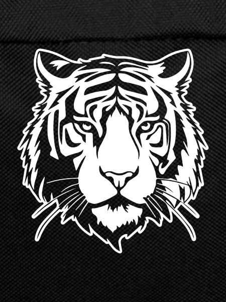 Tiger Big Cat