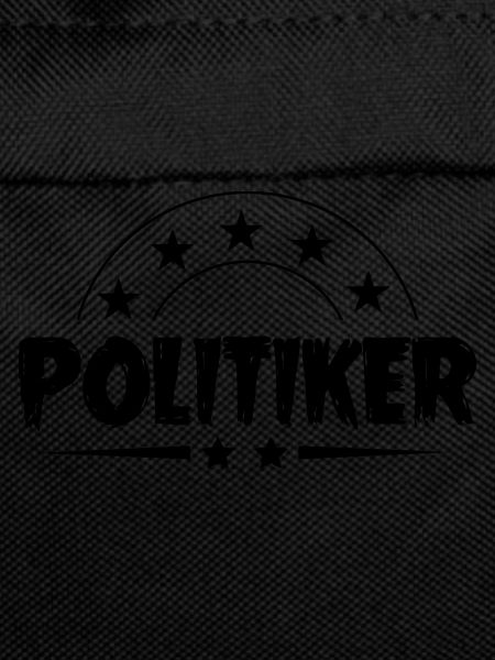 Politiker Beruf