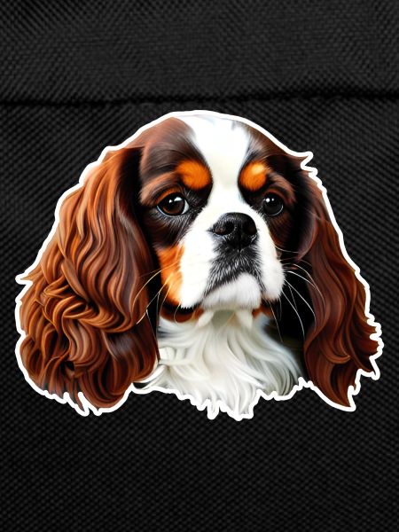 Cavalier King Charles Spaniel