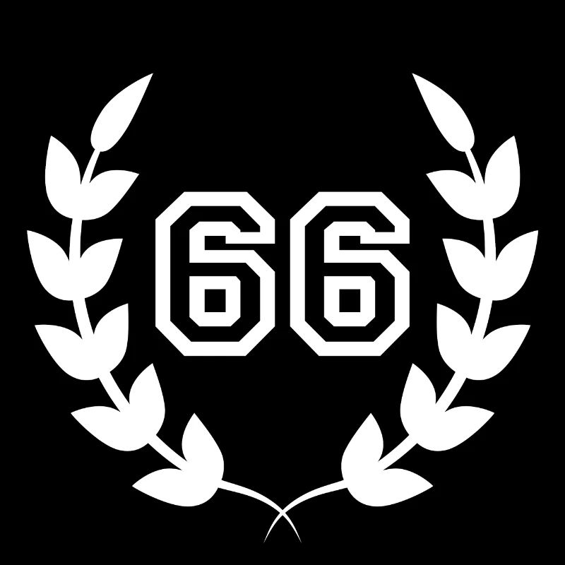 66e anniversaire-idée cadeau 66 ans
