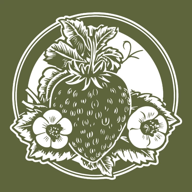 Strawberry Fruit Fruit