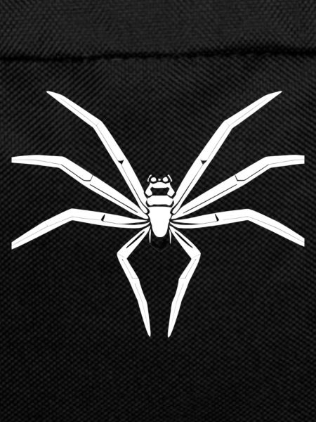 Faszinierende Tarantel Spinne