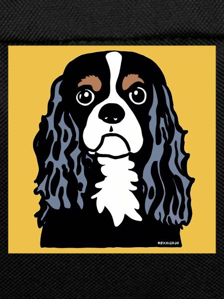 Cavalier King Charles Spaniel Doodle