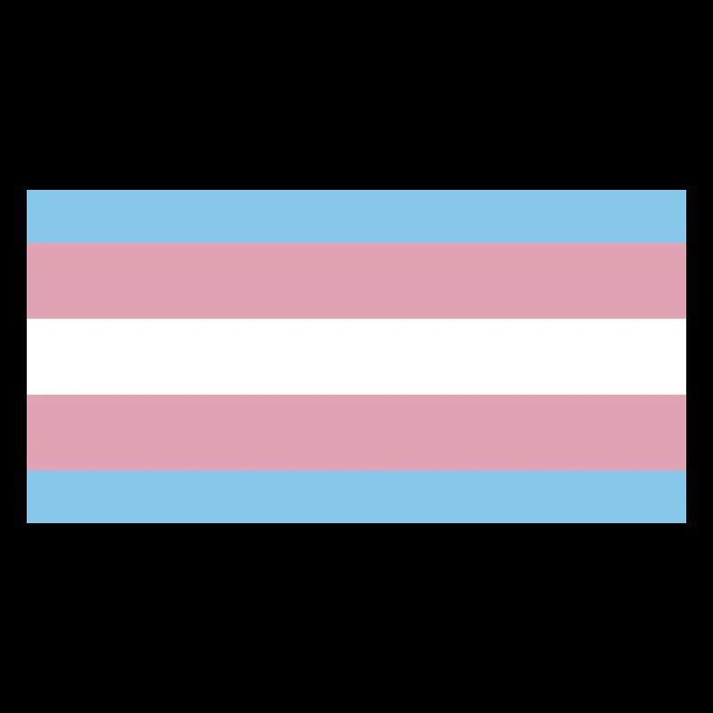 Trans Pride