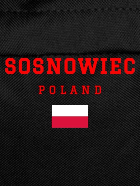 Sosnowiec, Poland