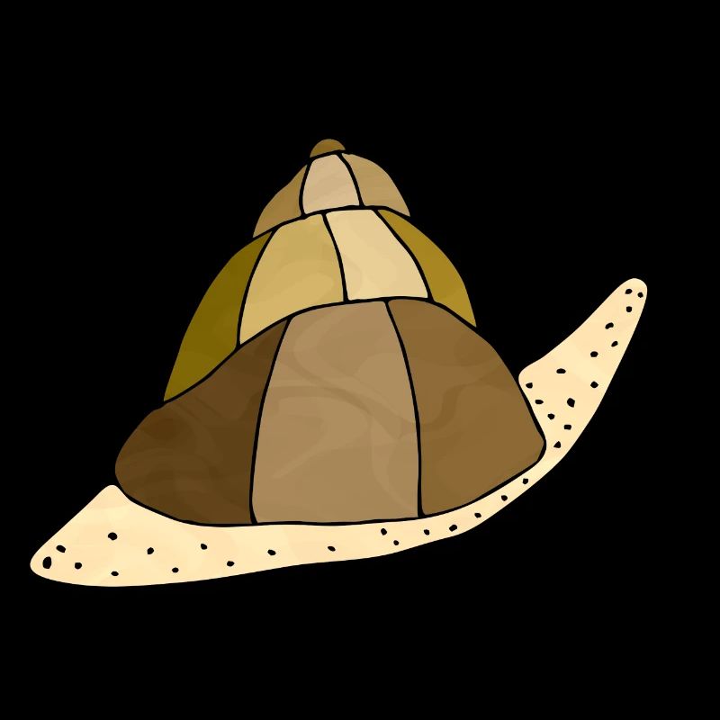Schnecke