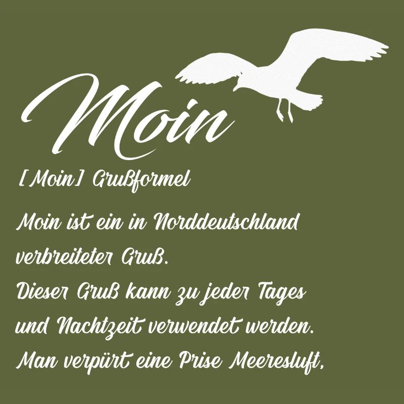 Moin Definiton Geschenk Idee mit Möwe
