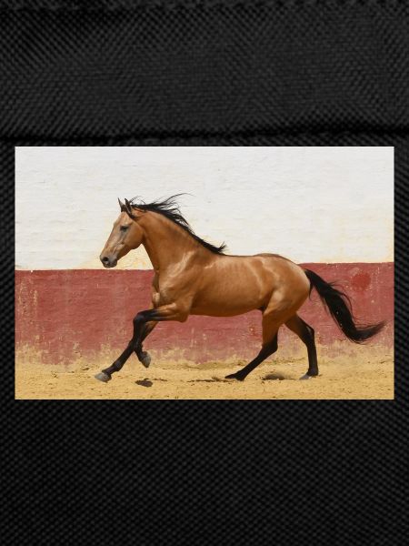 Pferd, Isibat
