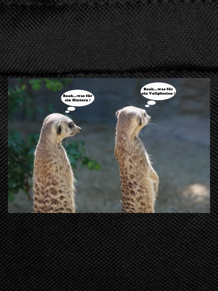 Erdmännchen