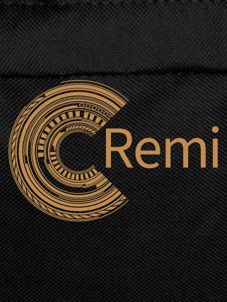 Pour Rémi