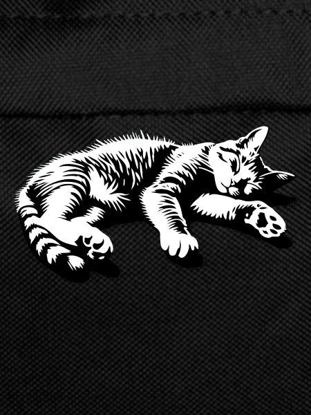 Lazy Cat Sleeping Cat | Hangover