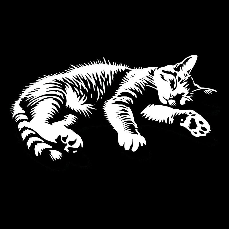 Lazy Cat Sleeping Cat | Hangover