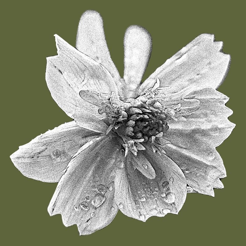 fleur