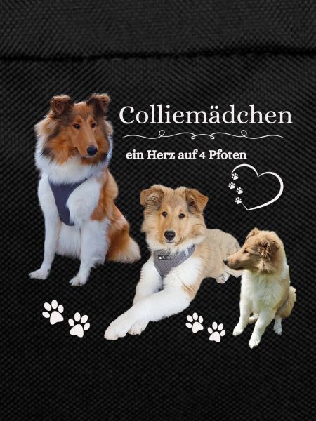 Colliemädchen 1