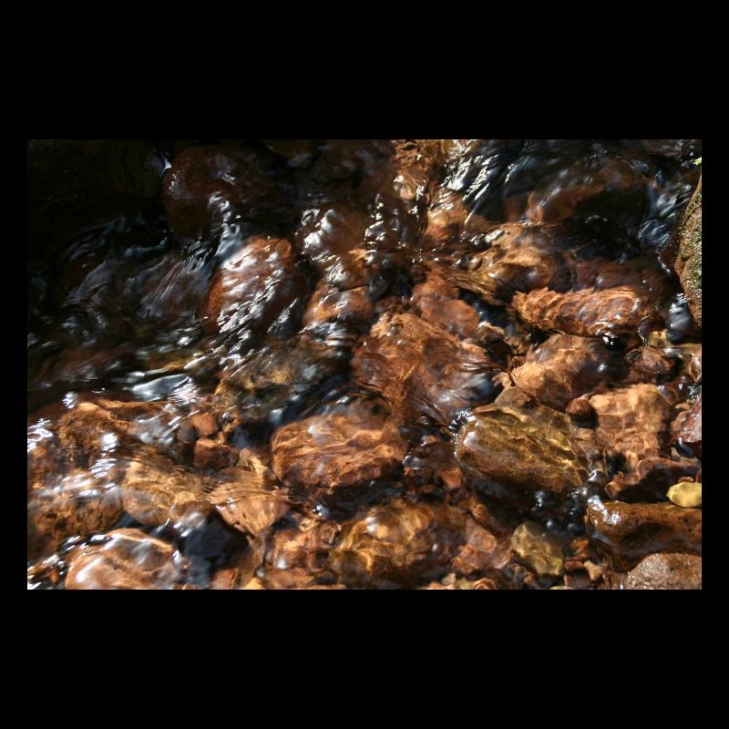 Black Forest Bächle