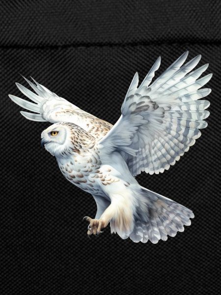 SnowyOwl 04