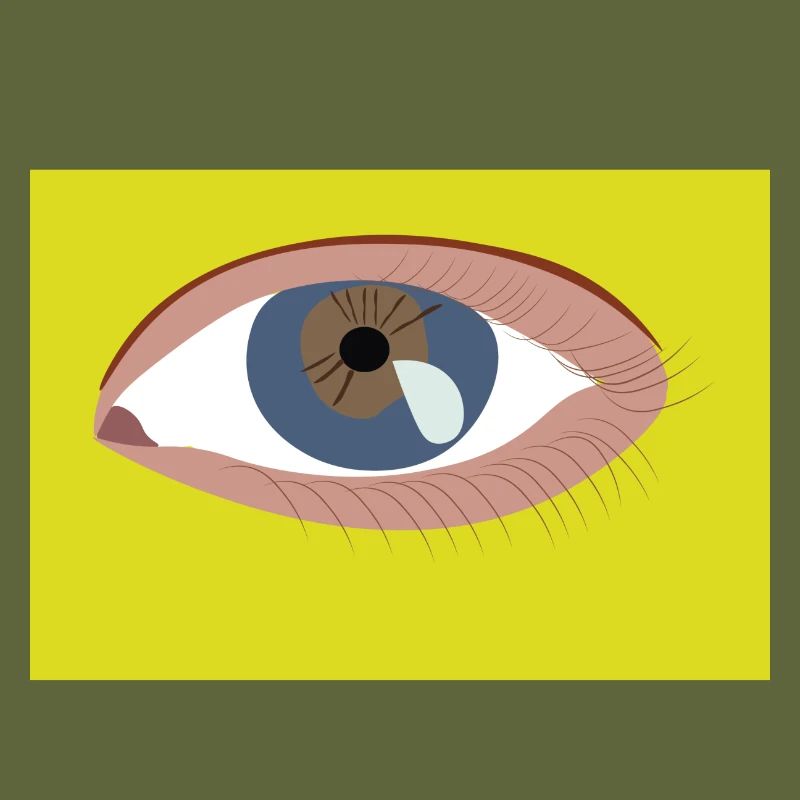 Auge