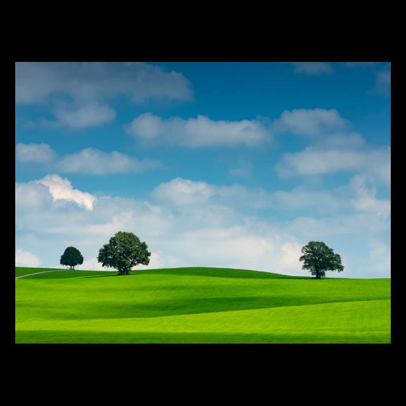 Paysage apaisant