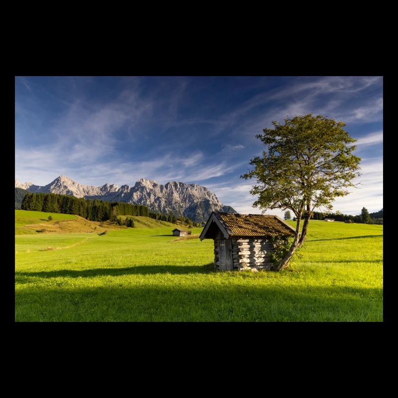Humpback meadows near Mittenwald