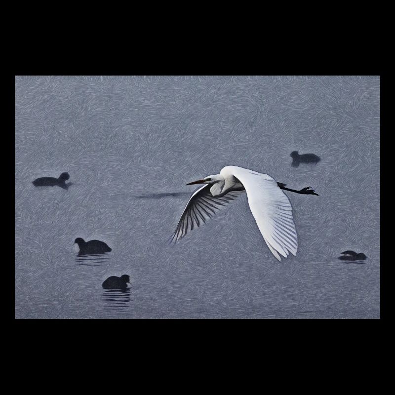 Great egrets in flight