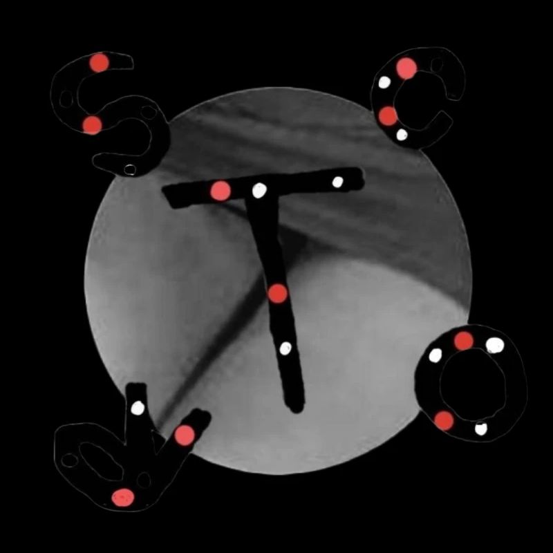 Sie oder Er, scort v.t-shirt