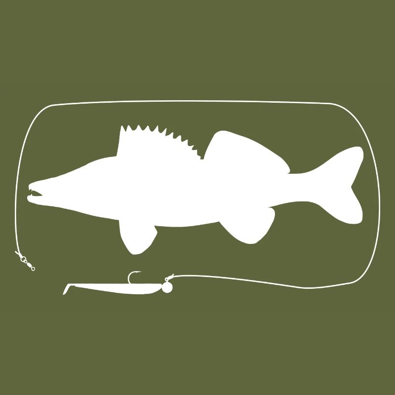 Pike-perch with softbait