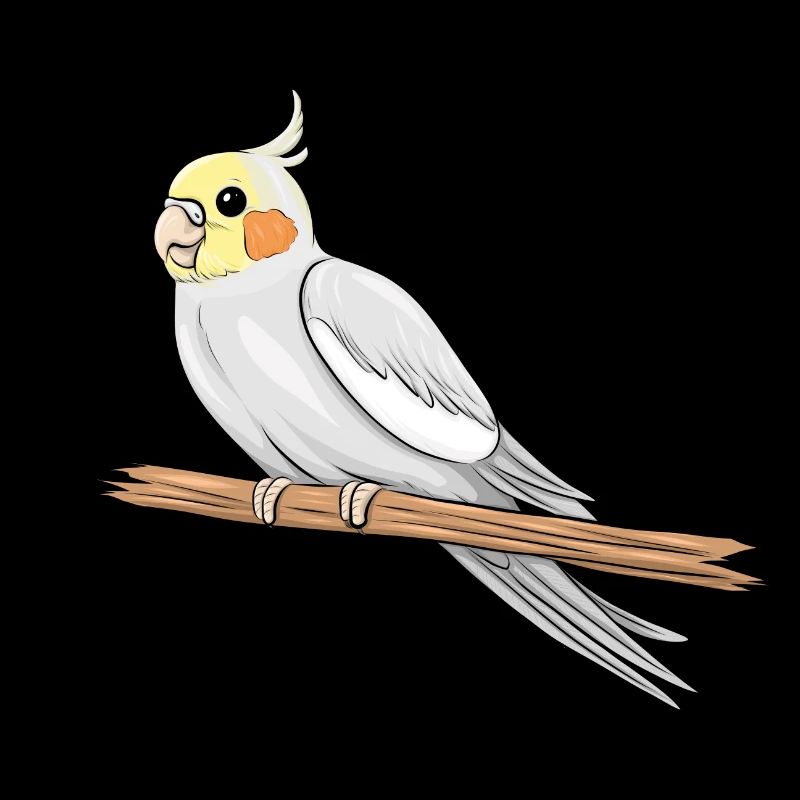 Nymphensittich