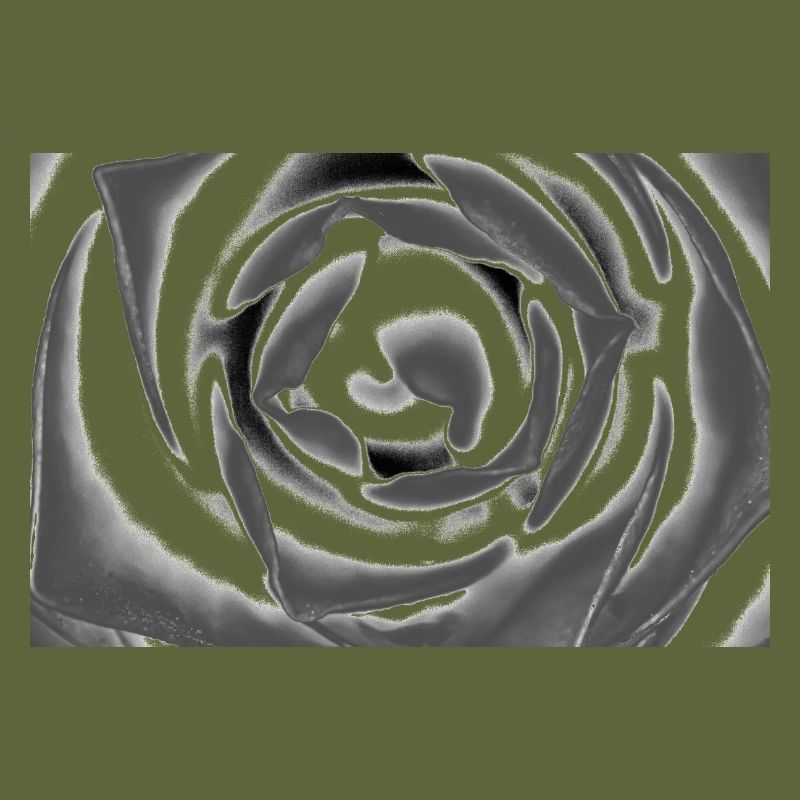 Flower, A731144 1