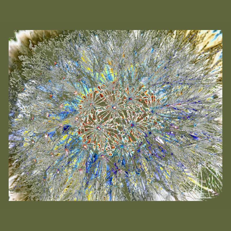 Pusteblume, A731878