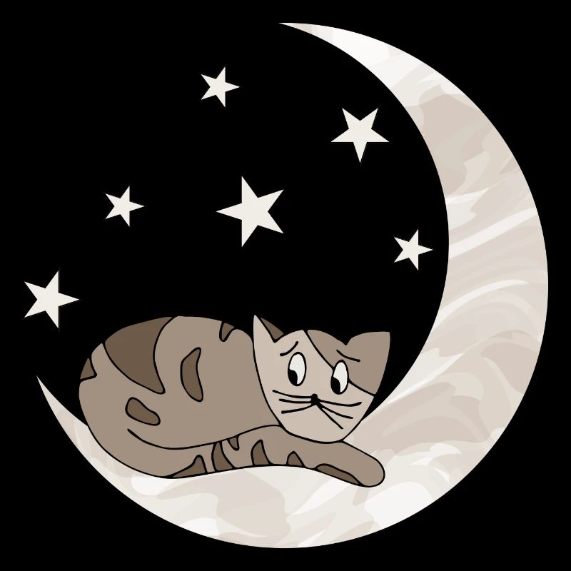 chat