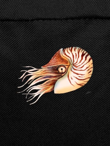 NAUTILUS