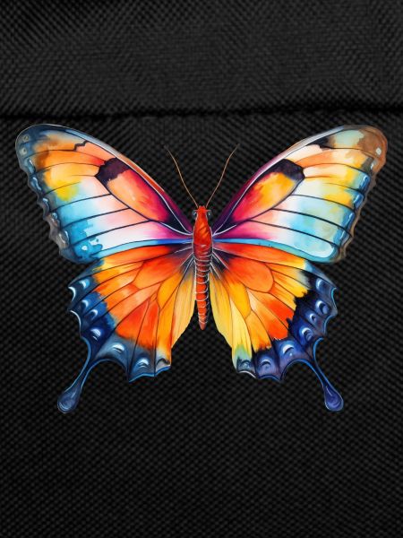 Spring Butterfly
