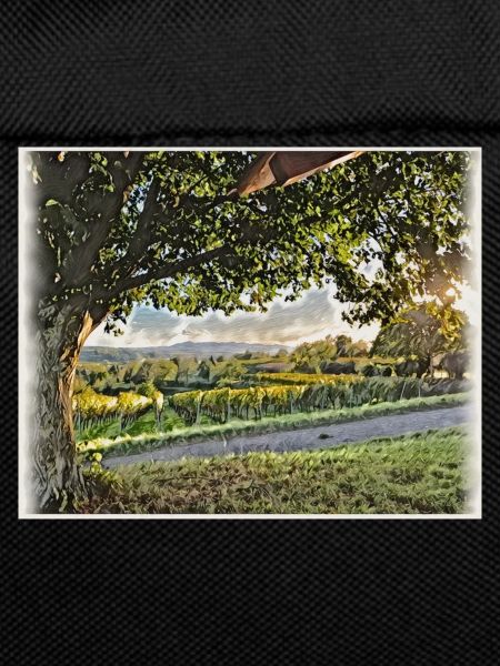 Ausblick