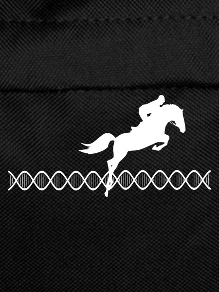 DNA Show Jumping
