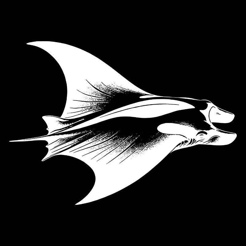 Eleganter Mantarochen im Unterwasser Flug