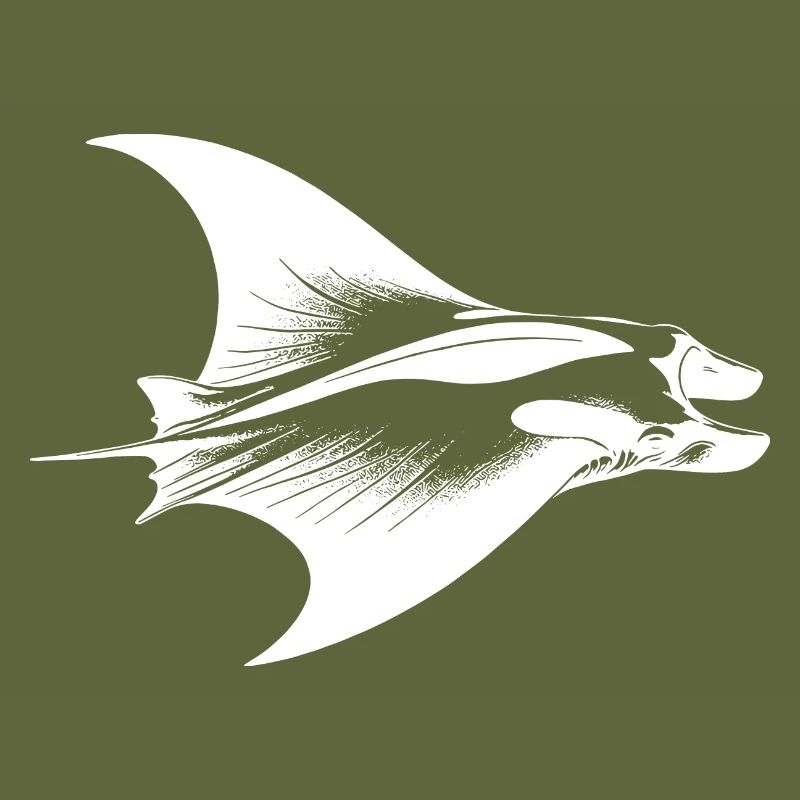 Elegant manta ray in underwater flight