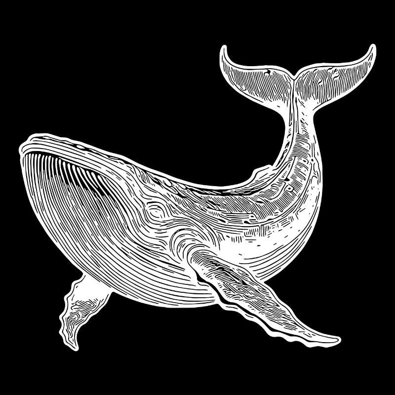 Vintage Whale Huge Floating Sea Creature