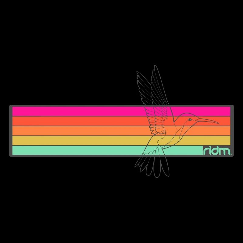 RIDM Rayures Colibri