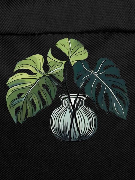 Monstera Plant Plant Love